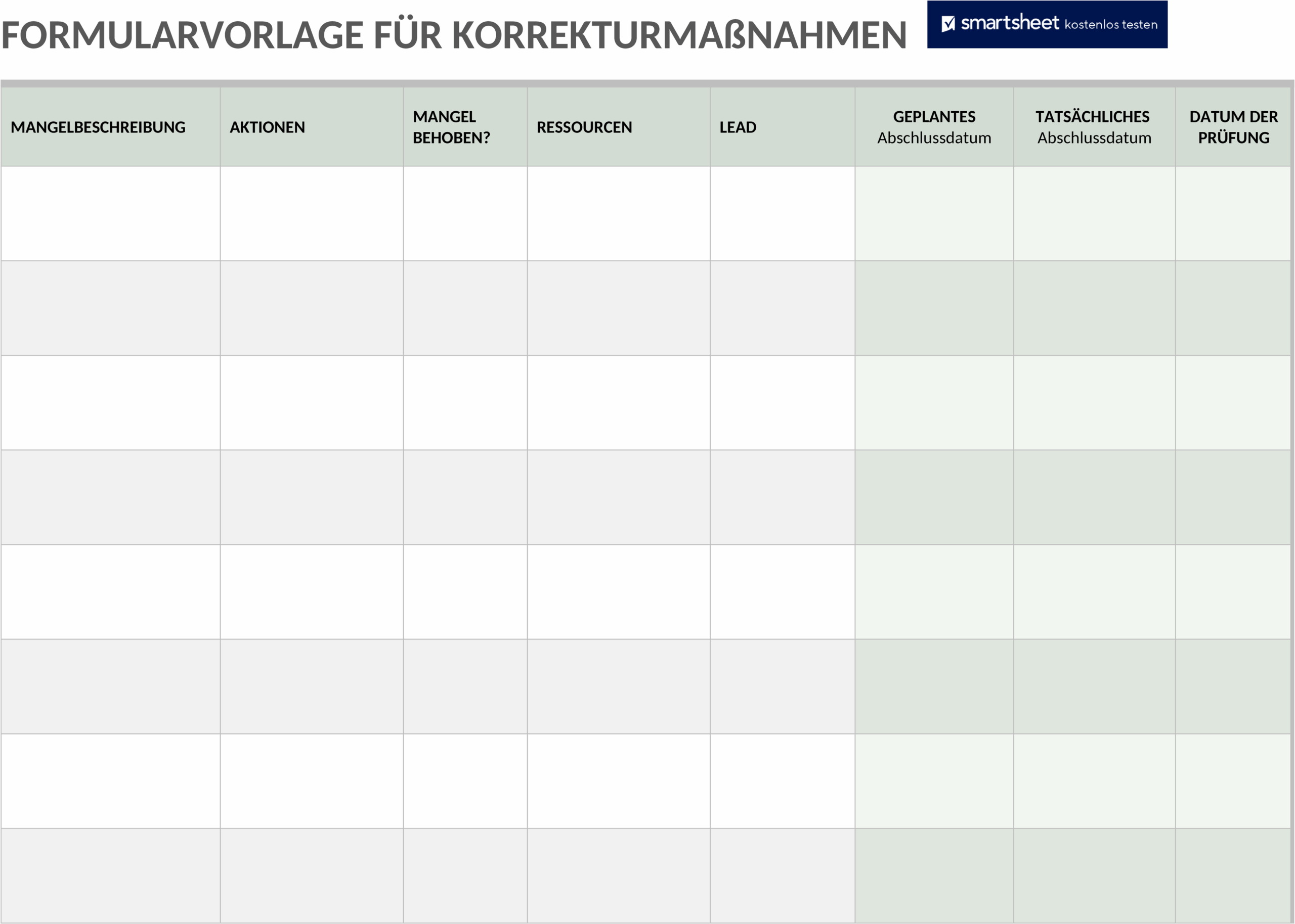 Korrekturmaßnahmenformular im Word-Format