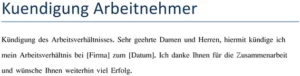 kuendigung-des-arbeitsverhaeltnisses-vorlage-unternehmer