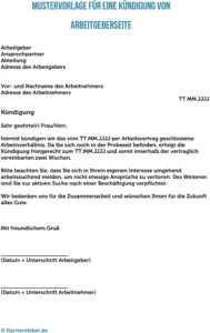 kuendigung-vorlage-fuer-arbeitgeber-mit-hinweisen