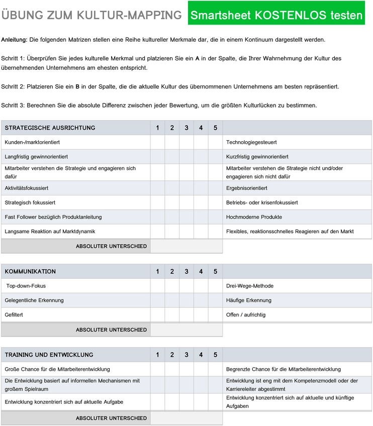 kultur-mapping-und-unternehmensanalyse-vorlage