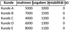 kundenrentabilitaet-analysieren-optimieren-ressourcen-steuern-gewinn-erreichen