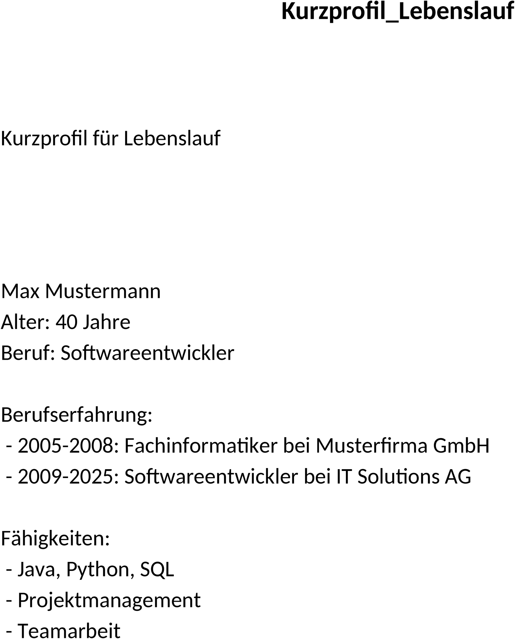 Kurzprofil Lebenslauf Word-Dokument