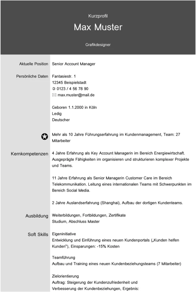 kurzprofil-vorlage-fuer-bewerbung-und-karriereplanung