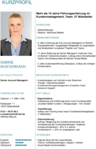 kurzprofil-vorlage-pdf-fuer-bewerbung-und-netzwerke
