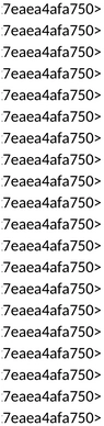 lagerverwaltung-1747506494679.png
