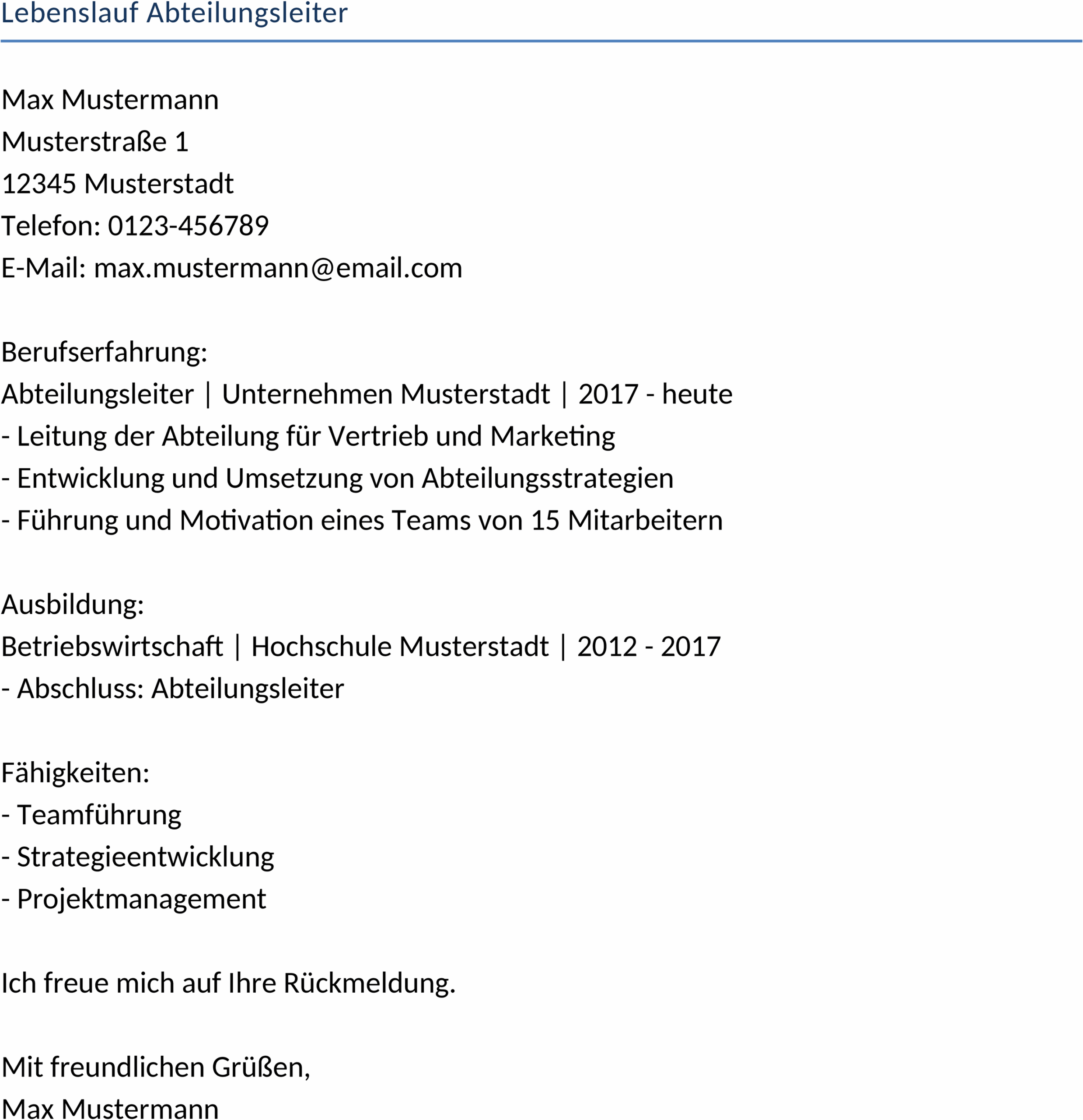 Word-Dokument Lebenslauf Abteilungsleiter