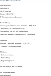 lebenslauf-anwendungsentwickler-gestaltung-und-struktur