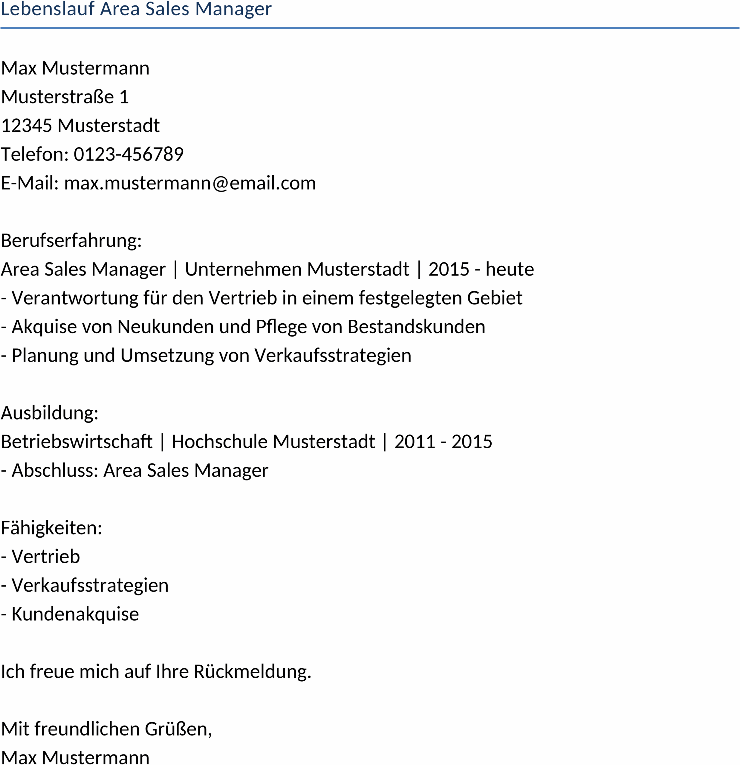 Lebenslauf Word Vorlage für Area Sales Manager