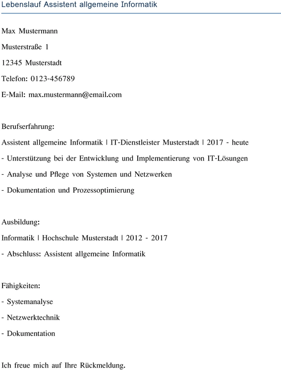 lebenslauf-assistent-allgemeine-informatik