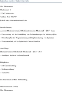 lebenslauf-assistent-medieninformatik