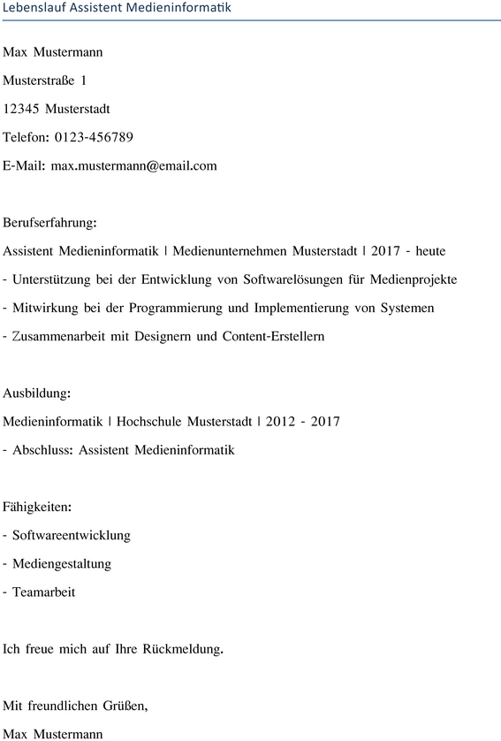 lebenslauf-assistent-medieninformatik