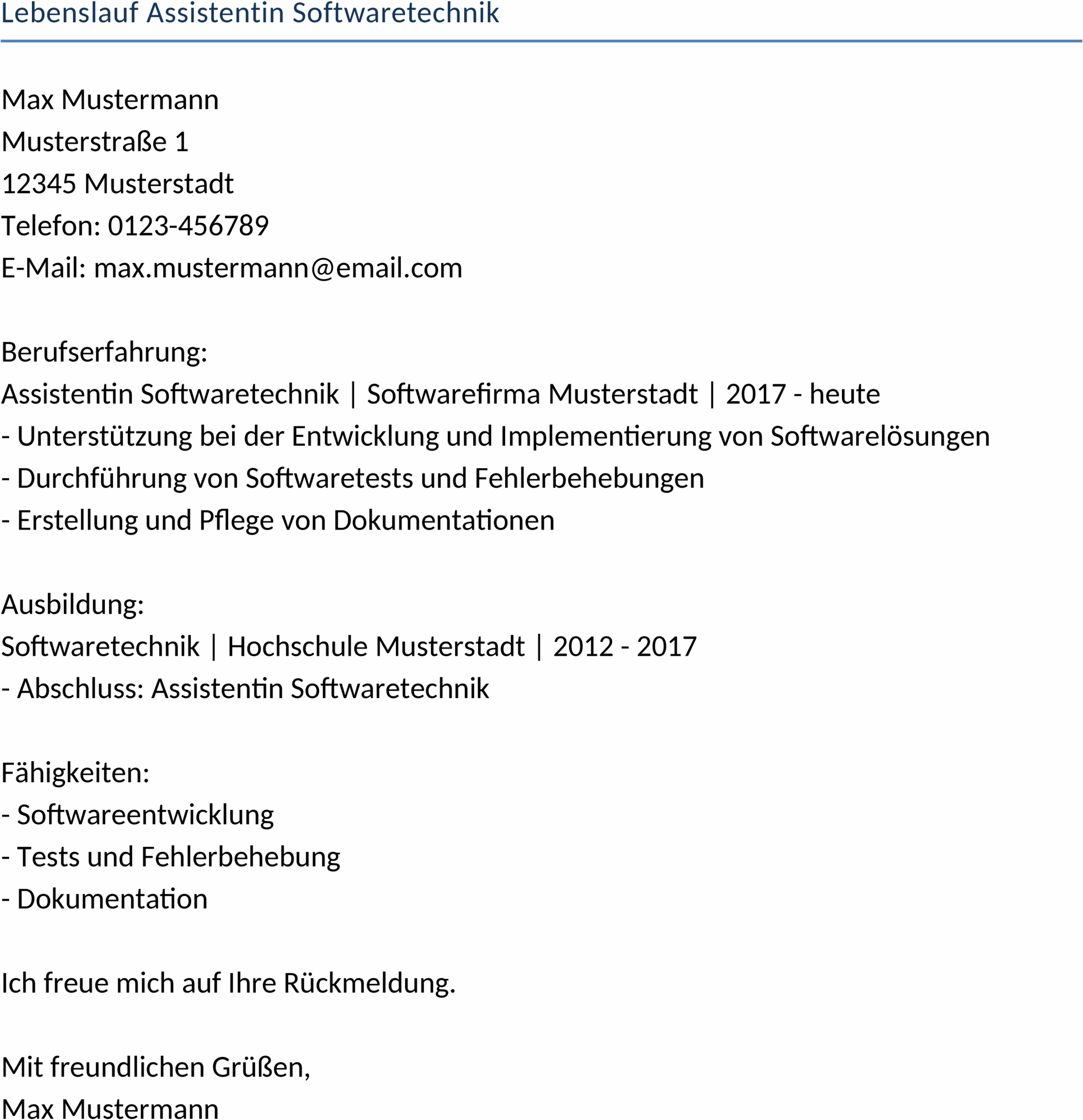 Word-Template Lebenslauf Assistentin Softwaretechnik