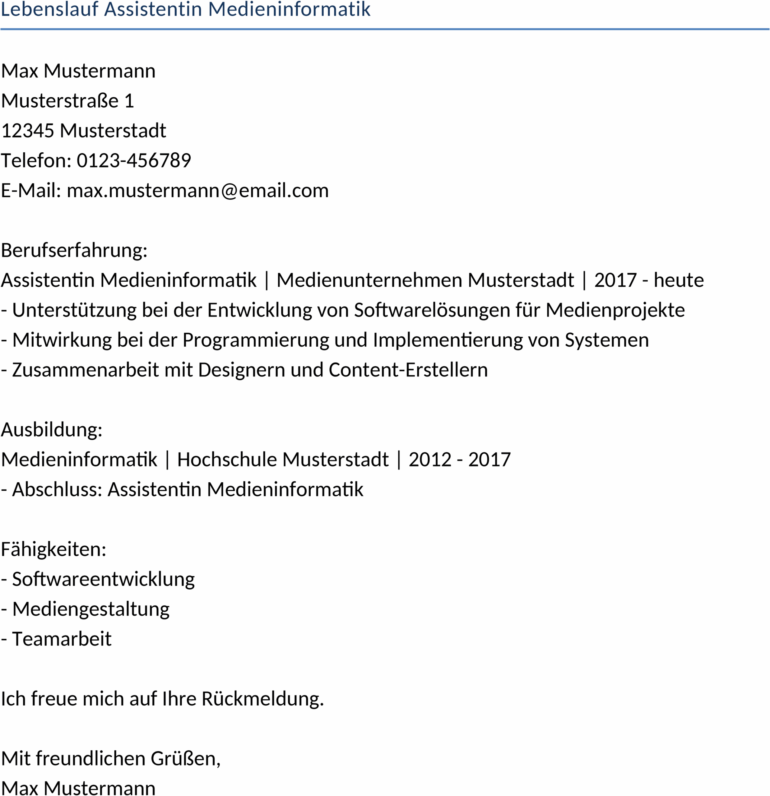Lebenslauf Vorlage Medieninformatik Assistenz