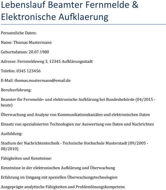 lebenslauf-beamter-fernmelde-elektronische-aufklaerung