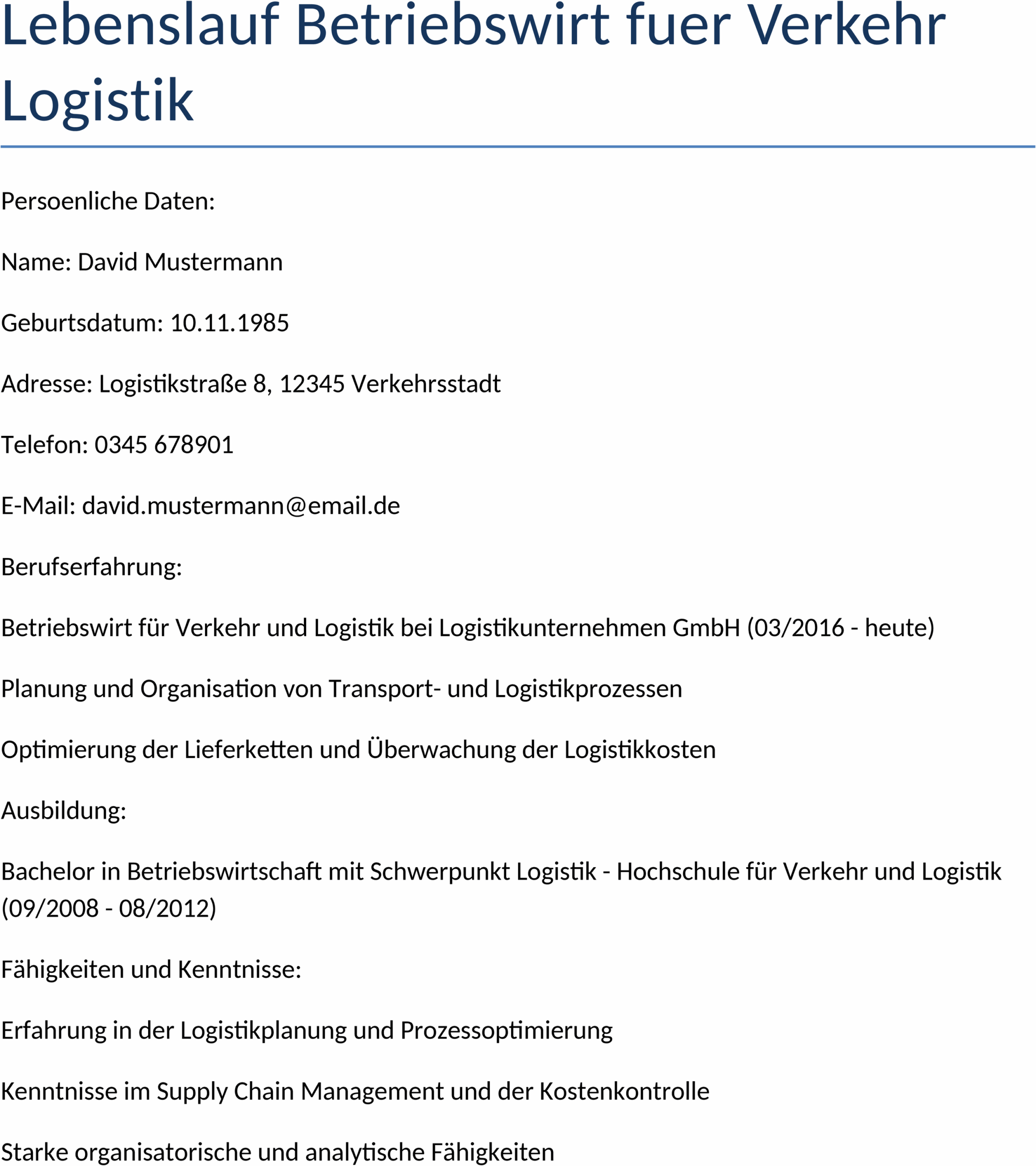 Word-Dokument Lebenslauf Betriebswirt Verkehr Logistik