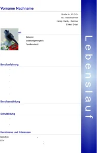 lebenslauf-bewerbung-vorlage-gestalten