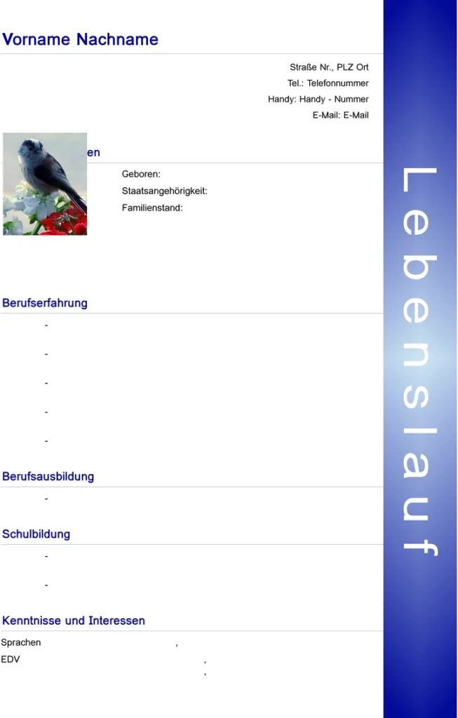 lebenslauf-bewerbung-vorlage-gestalten