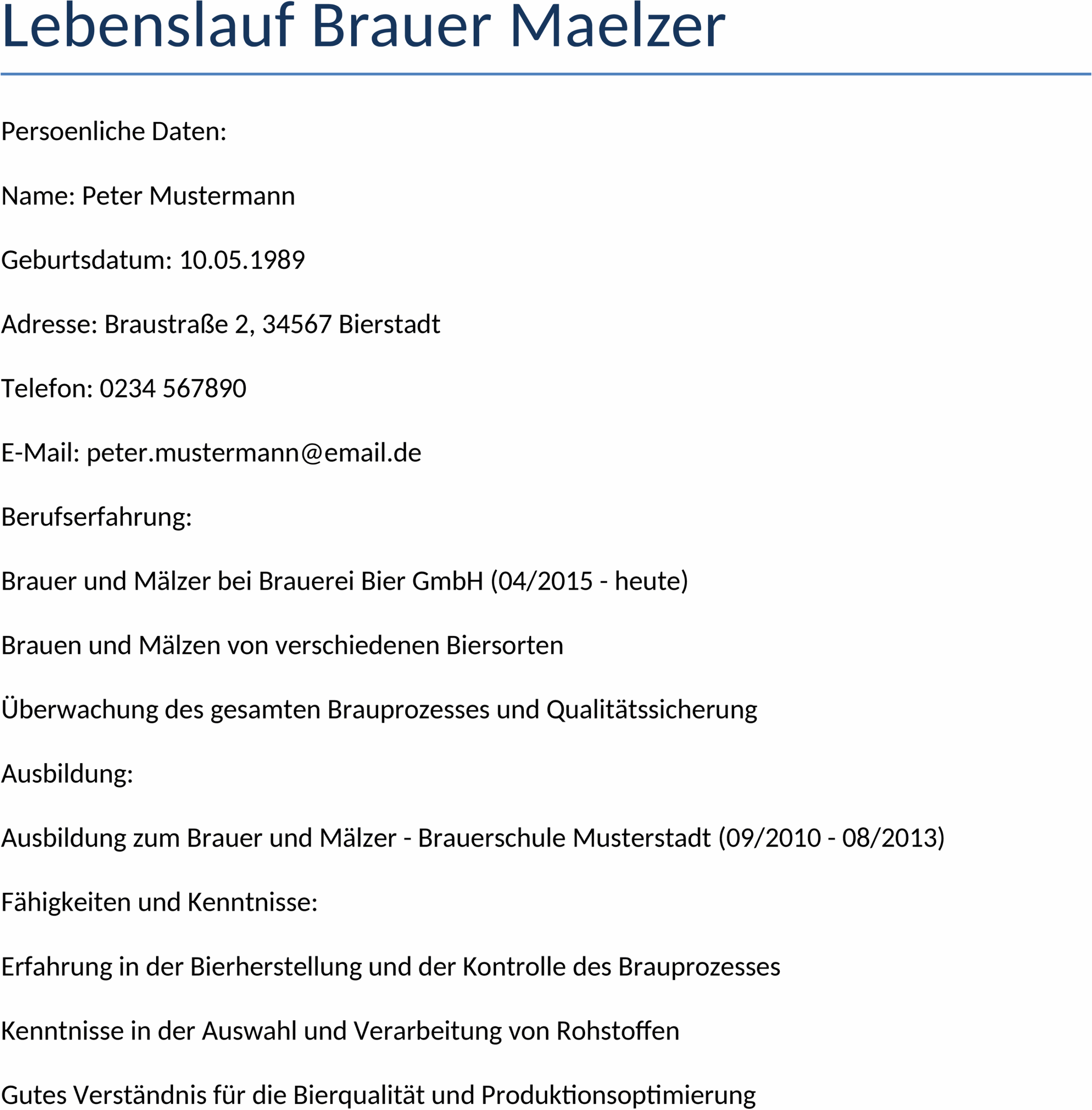 Professioneller Lebenslauf im Word-Format