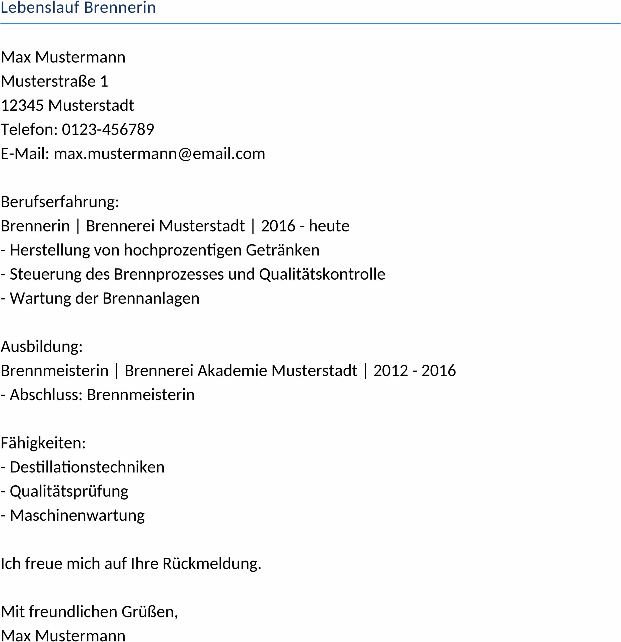 Lebenslauf-Word-Template für Berufseinsteiger und Profis