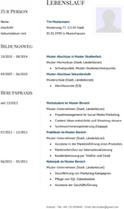 lebenslauf-design-vorlage-fuer-bewerbungen