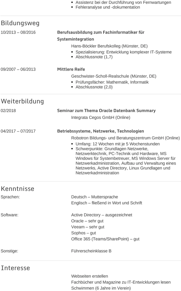 lebenslauf-fachinformatiker.png