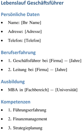 lebenslauf-geschaeftsfuehrer-vorlage-berufserfahrung-ausbildung