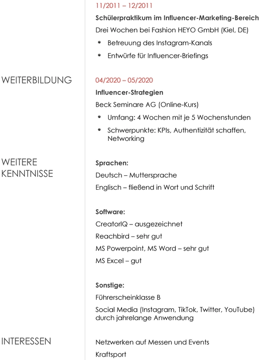 lebenslauf-influencer-marketing-ohne-berufserfahrung.png