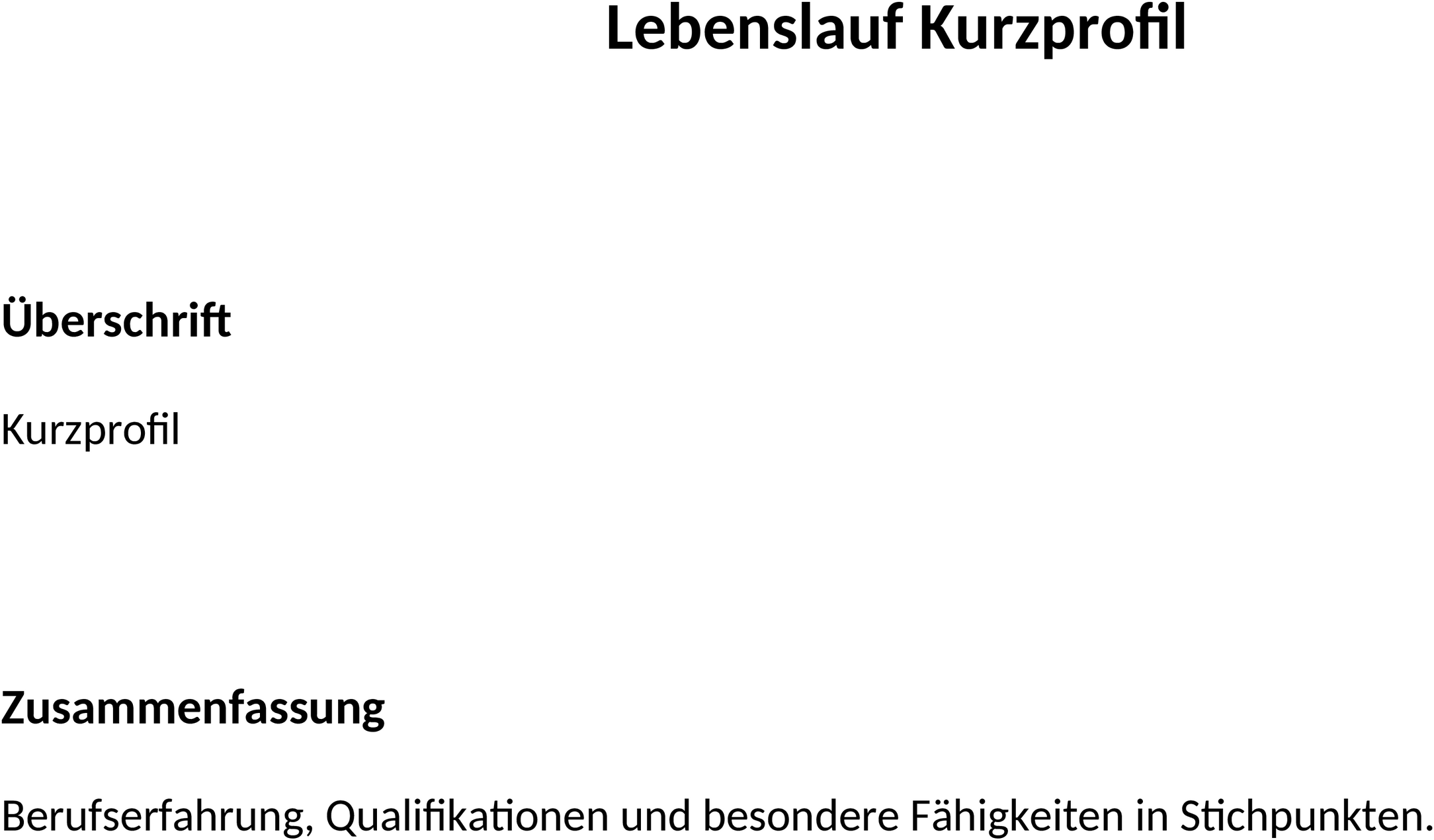 Lebenslauf-Kurzprofil Word-Template