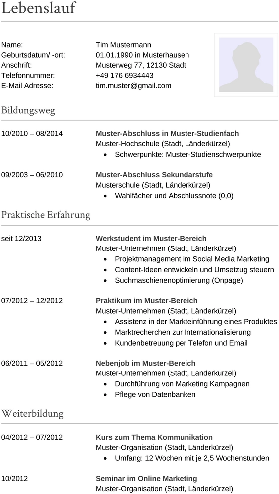 lebenslauf-modern-design-6.png