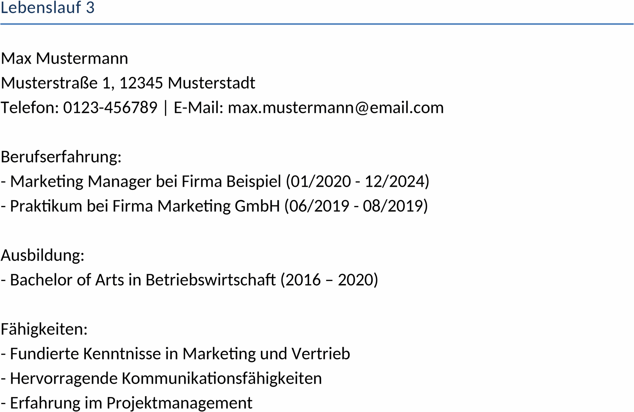 lebenslauf-modern-template.png