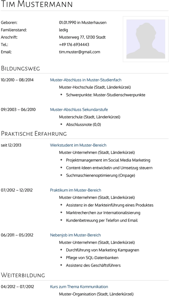 lebenslauf-modernes-design-2.png