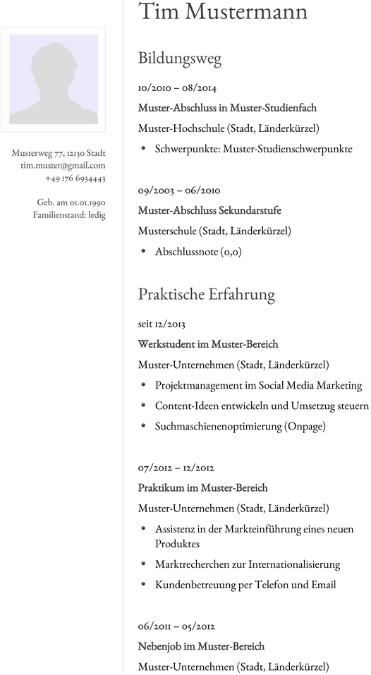 lebenslauf-muster-modern-design-36.png