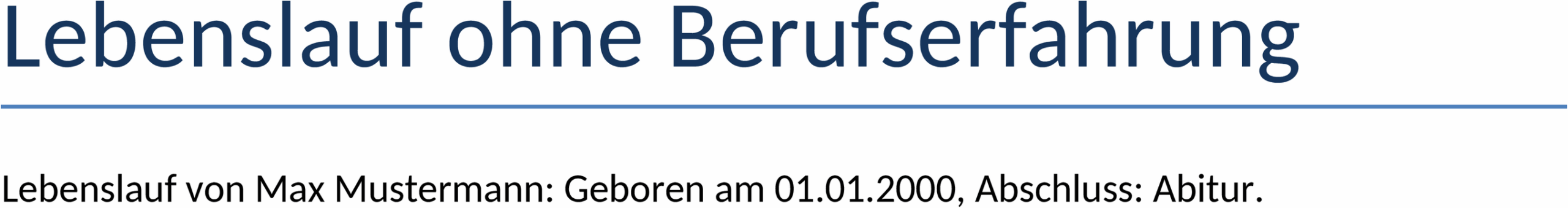 Lebenslauf ohne Berufserfahrung Word-Vorlage