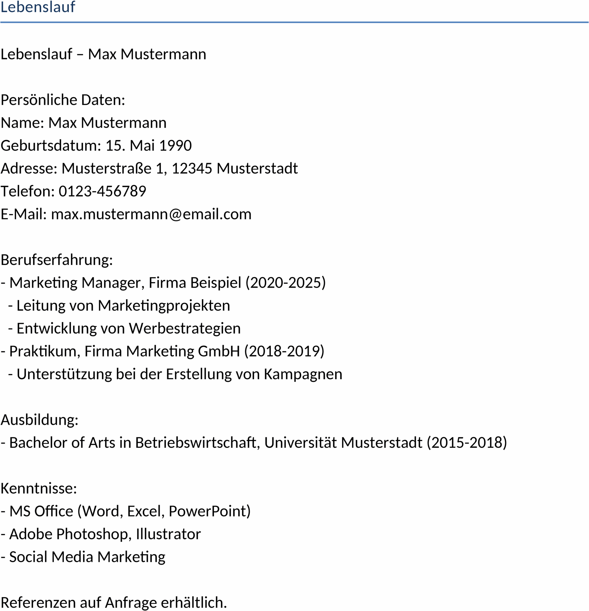 Lebenslauf Word-Template