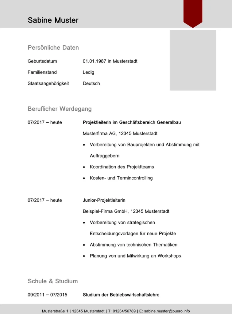 lebenslauf-vorlage-anpassbar-berufliche-erfahrungen