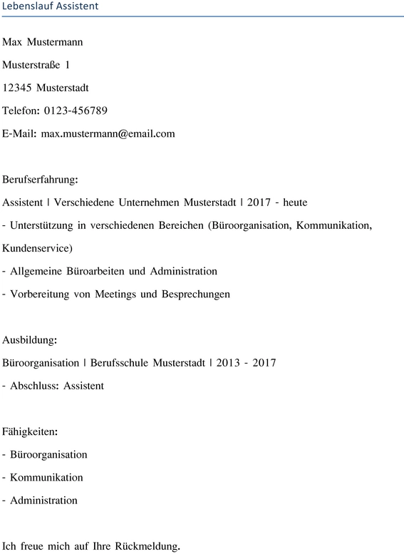 lebenslauf-vorlage-assistent-buerorganisation