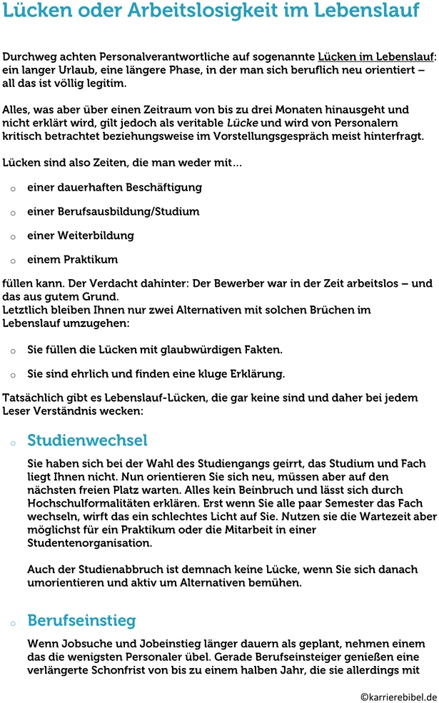 lebenslauf-vorlage-bearbeitbar-professionell.png