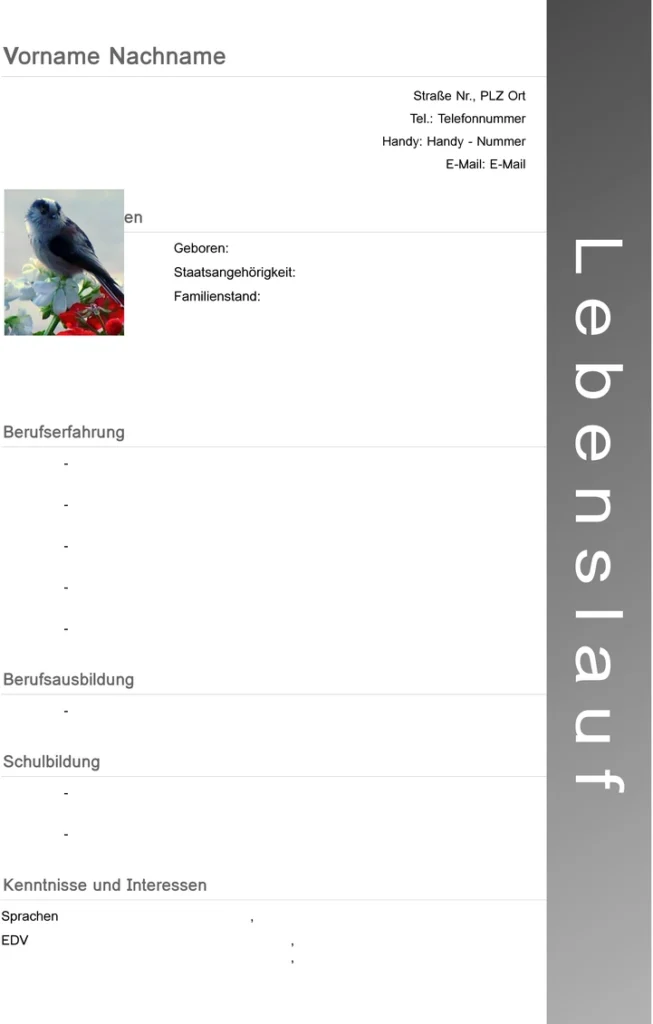 lebenslauf-vorlage-bewerbung-kurz-und-buendig