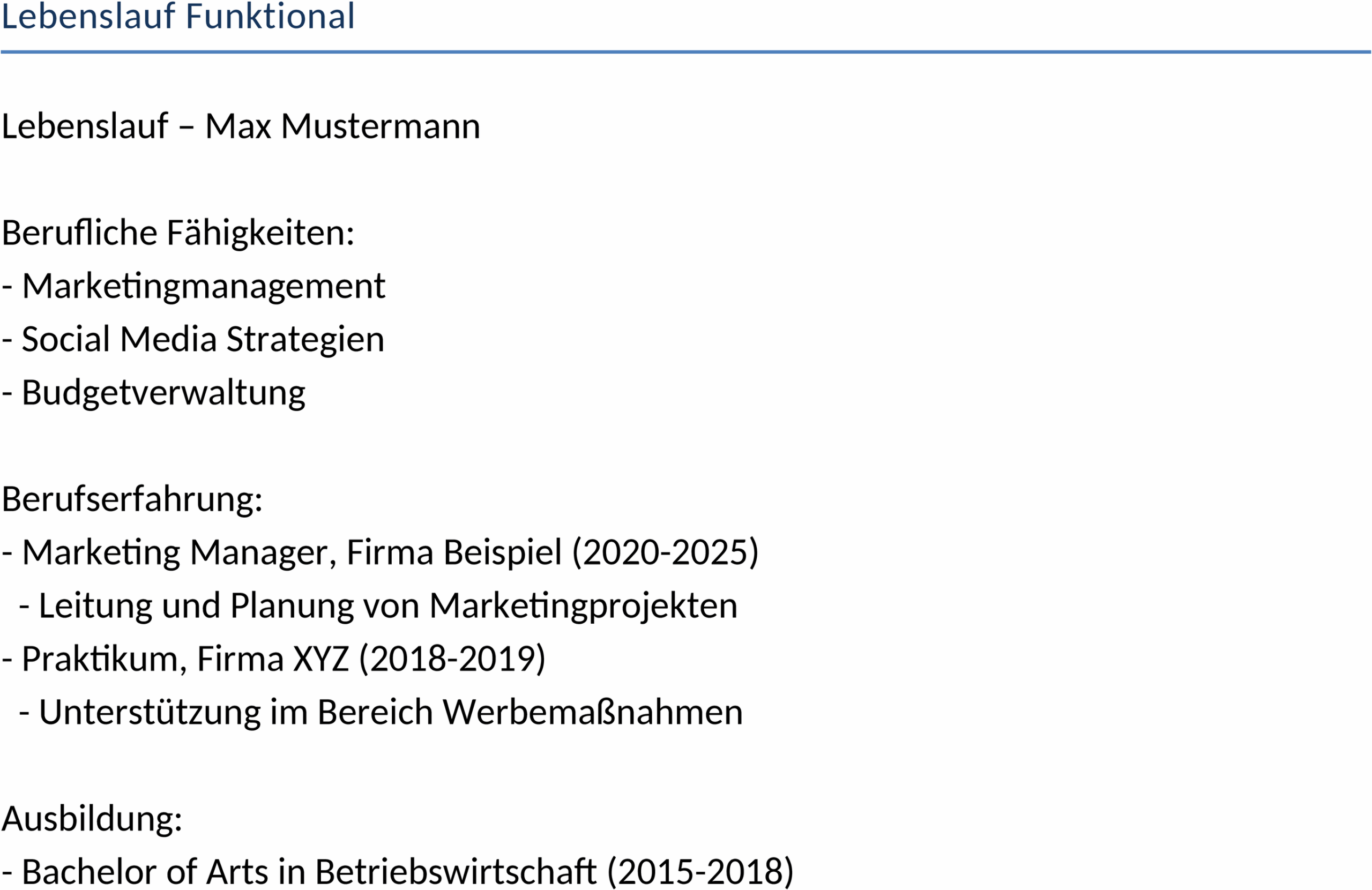 Lebenslauf Vorlage Docx