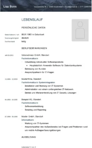 lebenslauf-vorlage-erstellen-und-anpassen
