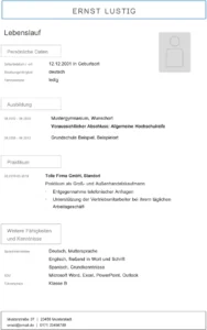 lebenslauf-vorlage-fuer-bewerbung-erstellen