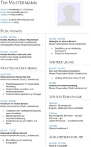 lebenslauf-vorlage-fuer-bewerbung-und-hr-management