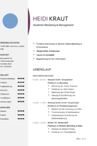 lebenslauf-vorlage-fuer-bewerbung-und-karriere