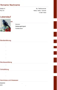 lebenslauf-vorlage-fuer-bewerbung-und-karriere