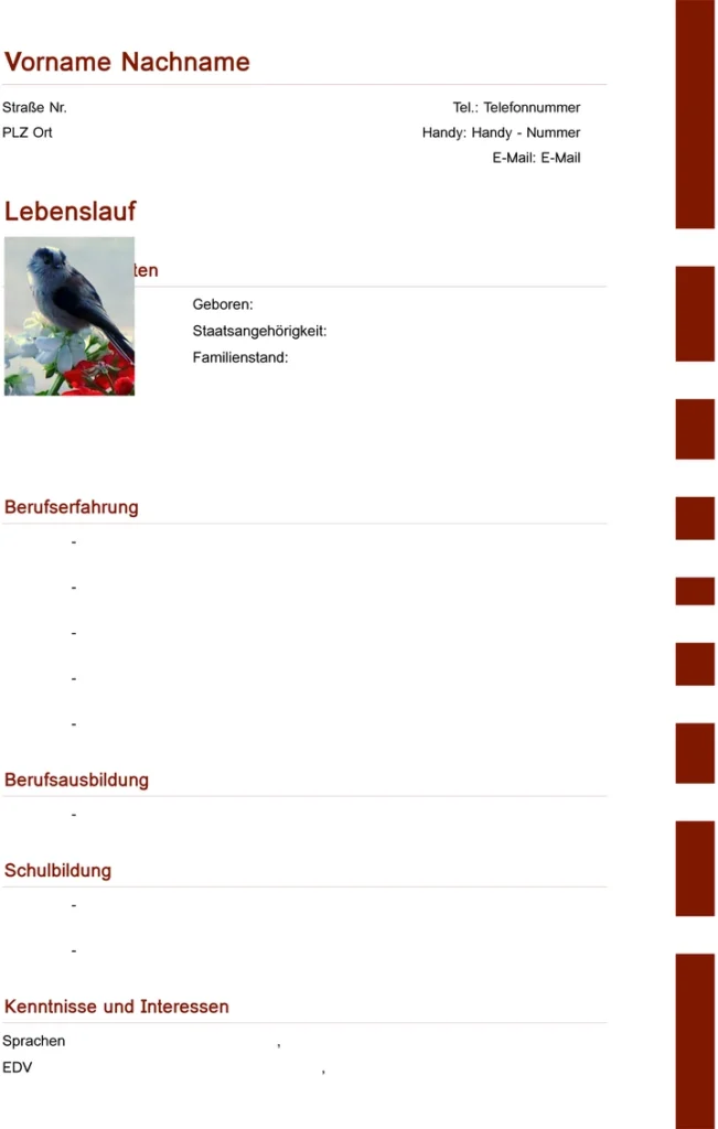 lebenslauf-vorlage-fuer-bewerbung-und-karriere