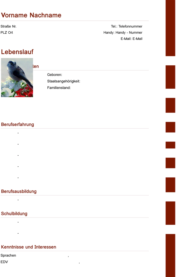 lebenslauf-vorlage-fuer-bewerbung-und-karriere