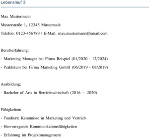 lebenslauf-vorlage-fuer-bewerbung-und-karriere
