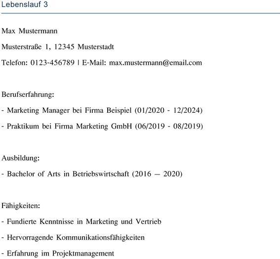 lebenslauf-vorlage-fuer-bewerbung-und-karriere