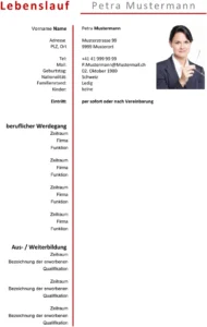 lebenslauf-vorlage-fuer-bewerbungen-und-hr-management