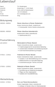 lebenslauf-vorlage-fuer-bewerbungen-und-karriere